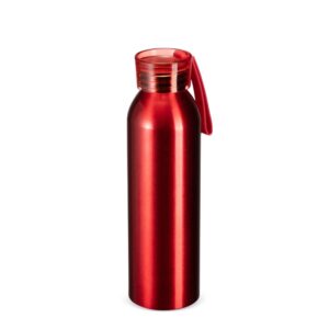 Garrafa Alumínio 650ml.