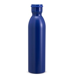 Garrafa Térmica 950ml. — Azul