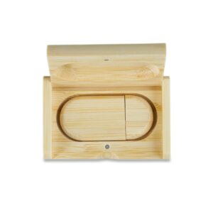 Kit Pen Drive Ecológico 4GB/8GB/16GB/32GB.