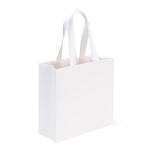 Sacola Papel Triplex 24 x 25.